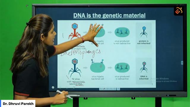 Eduauraa Live Class | 12th | Biology - Molecular basis of inheritance смотреть онлайн