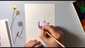 Как нарисовать весенние цветы Сон-трава. Акварель для начинающих. Пошаговое рисование