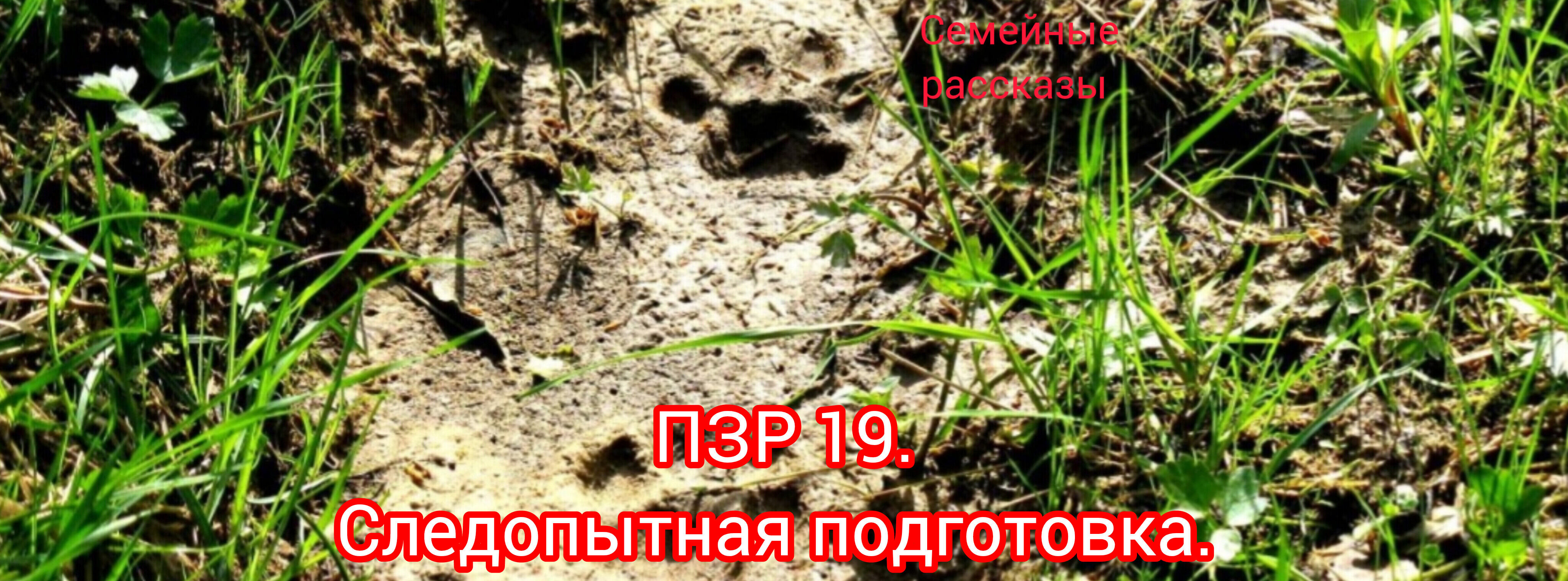 ПЗР 19. Следопытная подготовка. смотреть онлайн