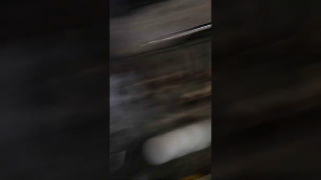 2000 Toyota Camry 2.2 look how clean the exhaust ports are w 330000 miles смотреть онлайн