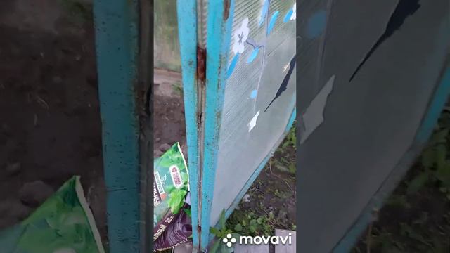 Наша дача 15, 16 июля 2023 смотреть онлайн