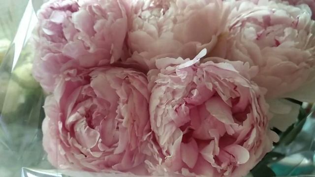 Лего магнит , 7 июля Мой День Рождения , мои подарки и цветы смотреть онлайн