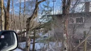 Эстония.Пригород Таллинна .Бывшие дачи - теперь элитные дома. Цены .