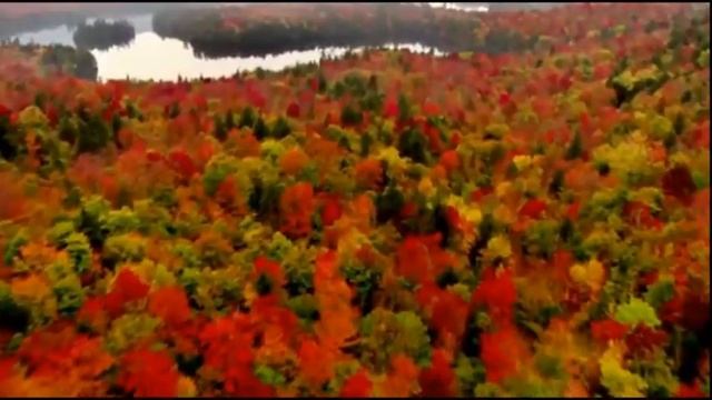 DARE TO DREAM - (Balloon Planet) смотреть онлайн