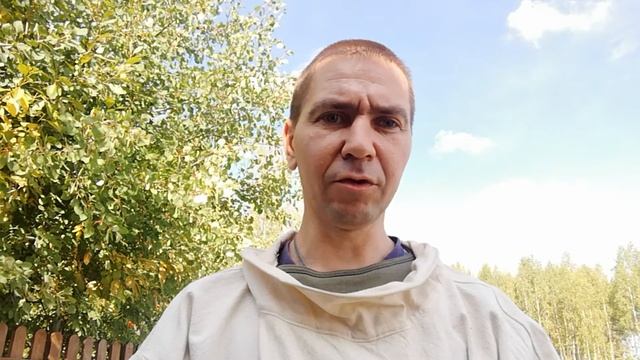 Когда закармливать пчел в зиму ?-Когда кормить пчел ? смотреть онлайн