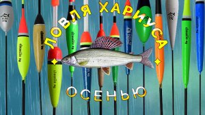 ЛОВЛЯ ХАРИУСА ОСЕНЬЮ.
