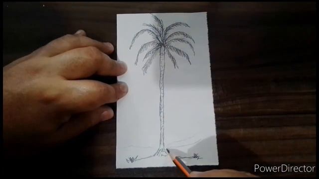 Como dibujar una palma de cera con lápiz sencilla смотреть онлайн