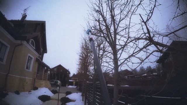 Липы обрезка