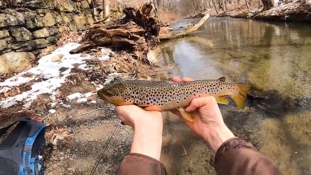 Gulp Minnow Saved The Day смотреть онлайн