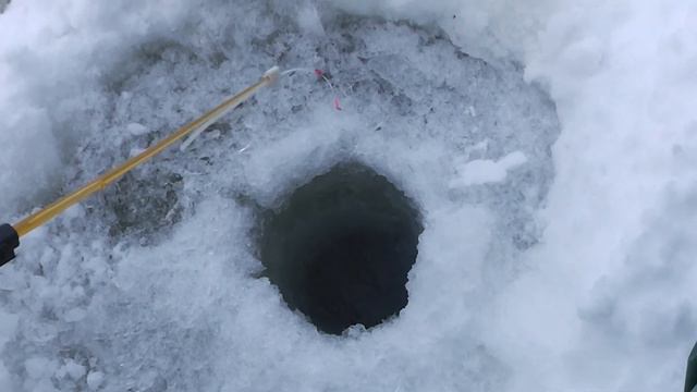 БЕЗМОТЫЛКА против РЕПЕЙНИКА смотреть онлайн