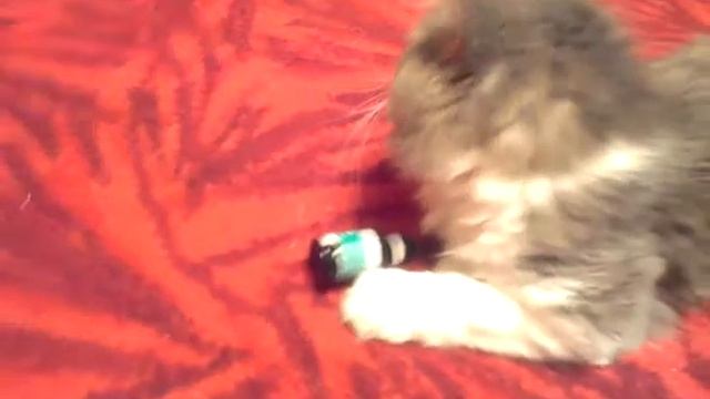 Трикардин и Кузя...love story смотреть онлайн