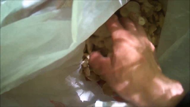 ✔Думал металлокоп ⛏, а оказалось…грибалка?✔ смотреть онлайн