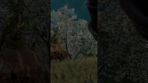 Убийство белой Дамы Ведьмак 3: Дикая Охота