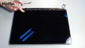 С чем связаны полосы и артефакты на экране MacBook и iMac — Ремонт видеочипа, матрицы и шлейфа Мака