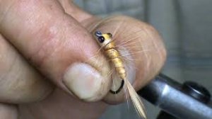 НИМФА ПОДЕНКИ ! ПРИМАНКА ДЛЯ НАХЛЫСТА СВОИМИ РУКАМИ!