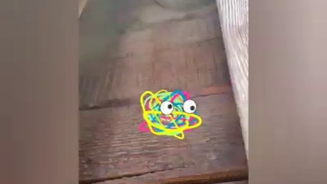 где живут осы?.. смотреть онлайн