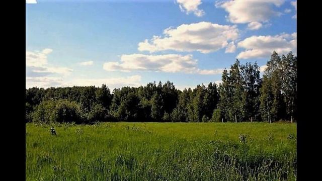 Участок 24 сотки д. Юрятино смотреть онлайн