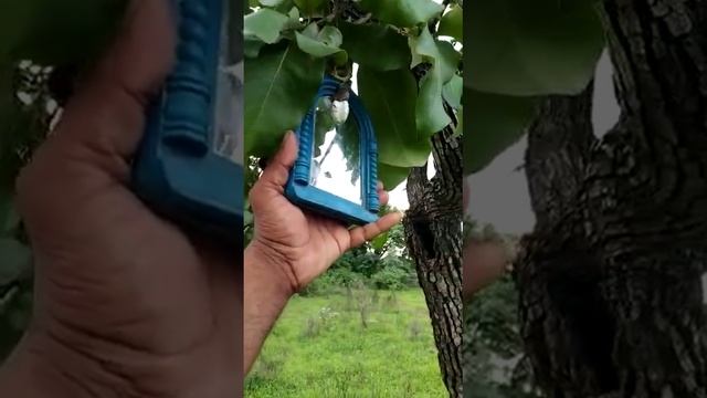 original white Biba full test sel call me ? ?80108 09285 смотреть онлайн