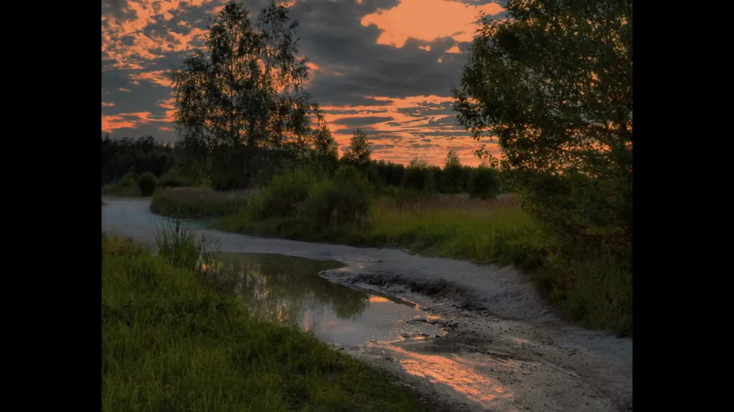 Summer Evening Reminiscences