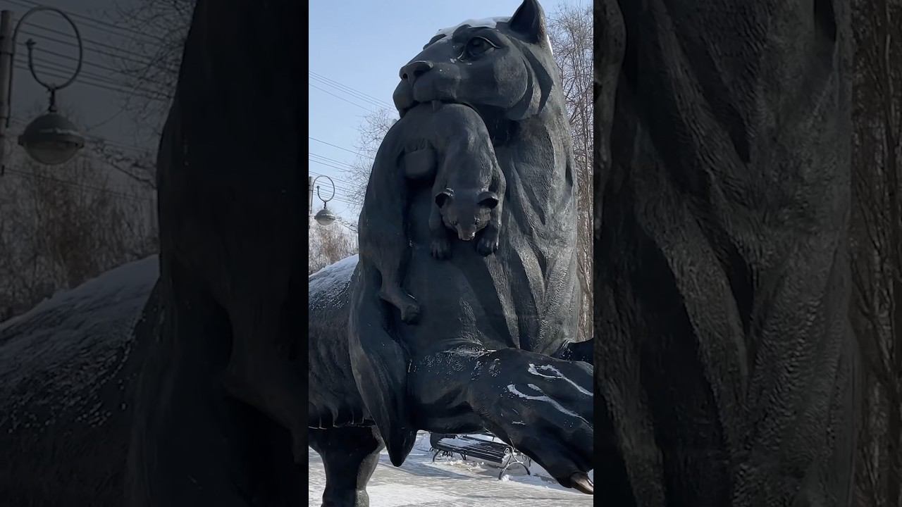 Иркутск. Перед туром на Байкал. 18.02.2024 #иркутск #ангара #бабр #буузы #сибирь #байкал смотреть онлайн