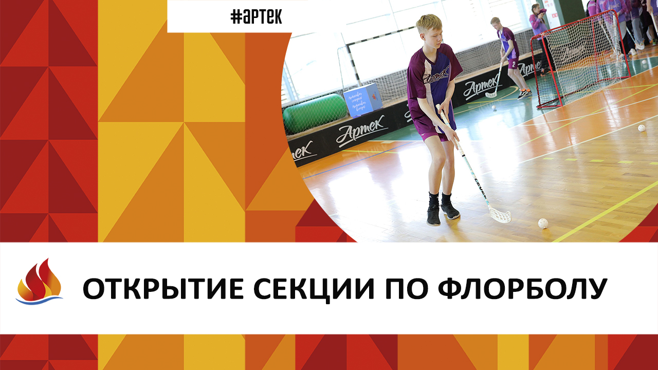 Международный детский центр «Артек»