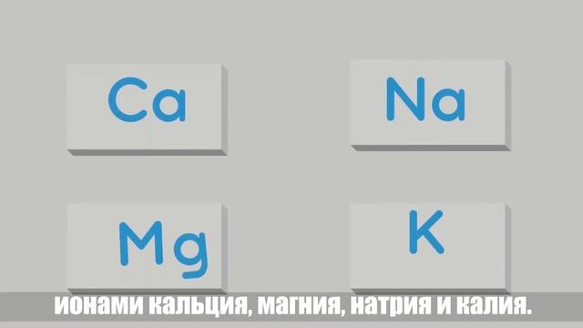 Обзор фильтра для воды Стандарт Iconic LUX от Компании Moi filter смотреть онлайн