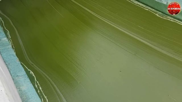 СРОЧНО!!! Черноисточинский пруд - SOS (Нижний Тагил) смотреть онлайн