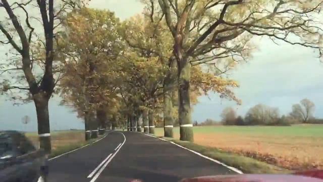 Дорога в Калининградской области смотреть онлайн