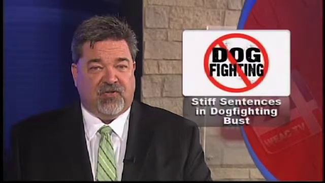 Stiff Sentences in Dogfighting Bust смотреть онлайн