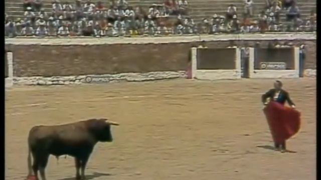 Antoñete festival de Medina de Rioseco 1986 смотреть онлайн