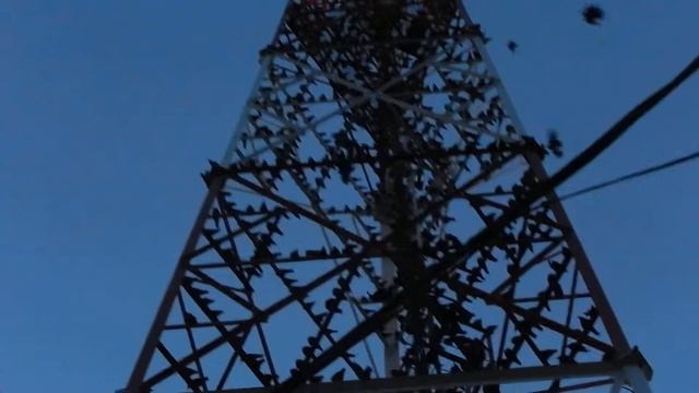НЕ ПЕРЕЛЁТНЫЕ ПТИЦЫ смотреть онлайн