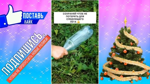 БЮДЖЕТНЫЙ МЕТОД ПОЛИВА смотреть онлайн
