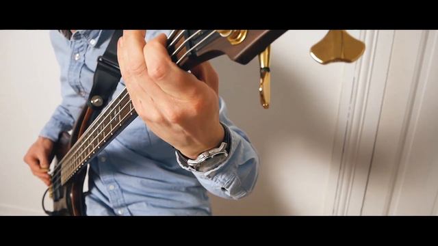 STEAL THE UNIVERSE - Ashes | Guitar & Bass Playthrough + TABS смотреть онлайн