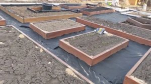 Как сделать декоративный огород на участке