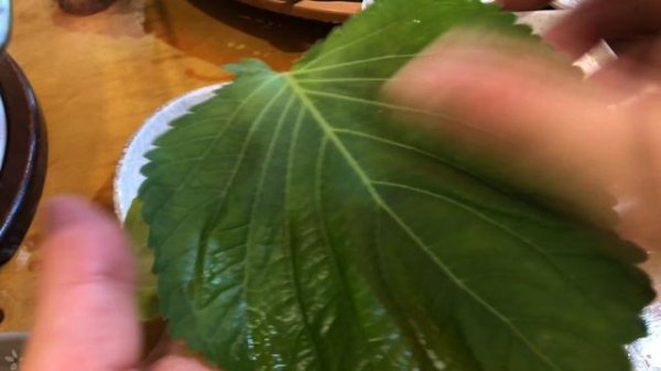 Yakiniku beef prime rib marinated in a jar and outside skirt steak