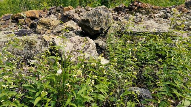 Поездка на Айгир смотреть онлайн