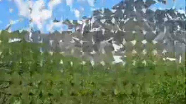 Русская природа Байкал смотреть онлайн