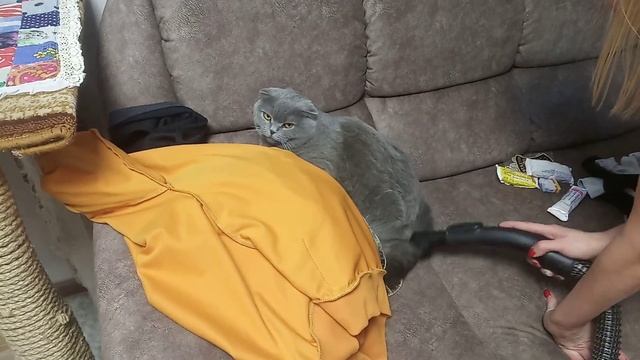 Когда надоело вычесывать смотреть онлайн