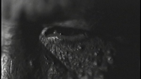 Nine Inch Nails - 1999 - We're In This Together (Long Edit)