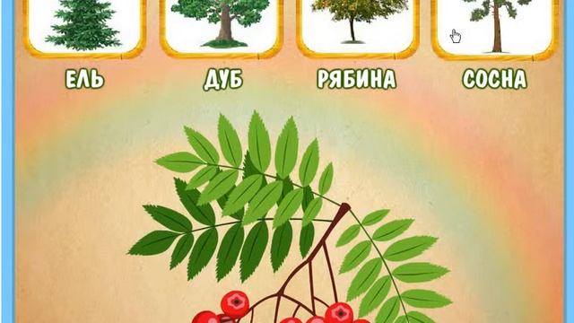 Познавательное видео для малышей #УГАДАЙ НАЗВАНИЕ ДЕРЕВО смотреть онлайн