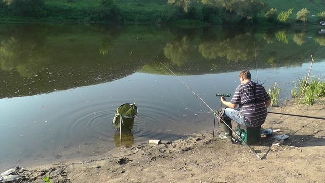 Ловля рыбца на фидер летом на реке смотреть онлайн