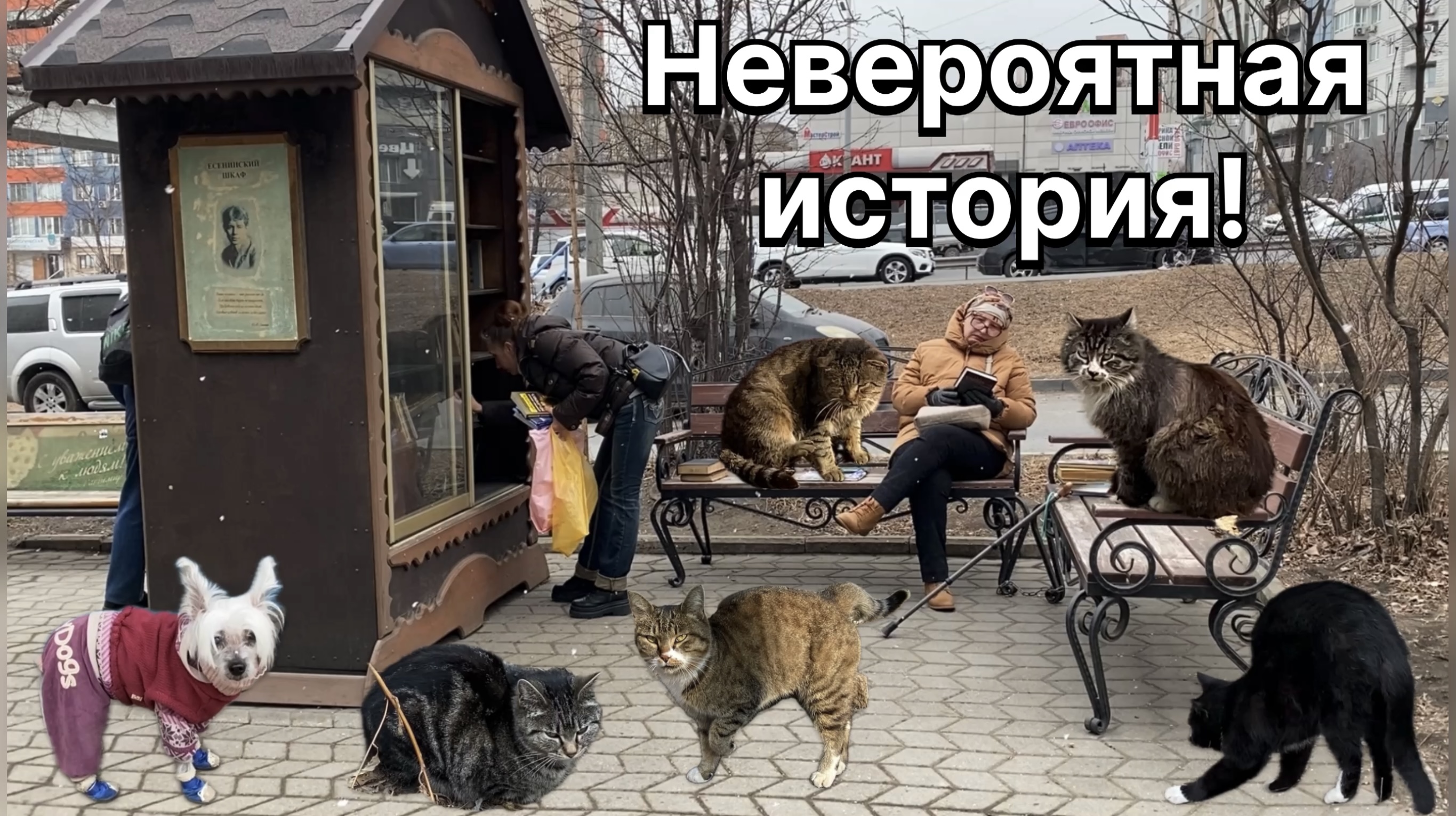 Невероятная история под названием жизнь. Хлеб закончился. Бабушка на прогулке. 19 марта 2024 г. смотреть онлайн