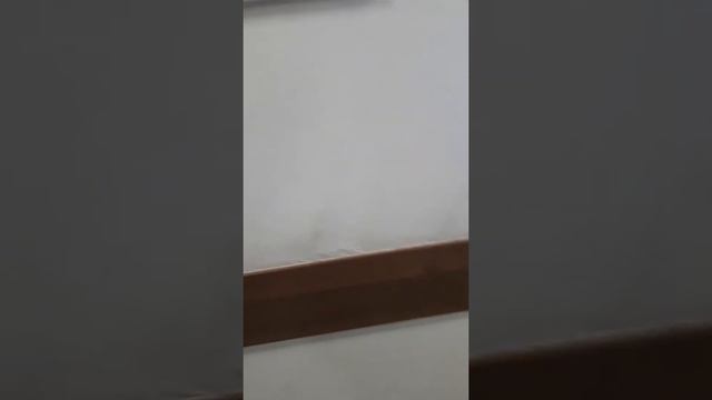 Пристов не знающий своих своих обязанностей!!! смотреть онлайн