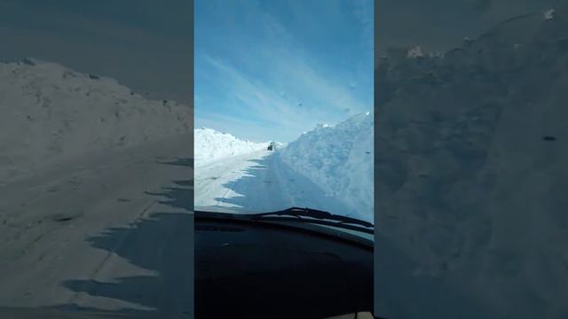 Мурманская область, дорога в п. Туманный. 01.05.2020г. смотреть онлайн