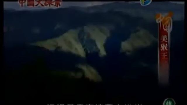 中国大探索2015 02 01 qimila net 旗米拉论坛 смотреть онлайн
