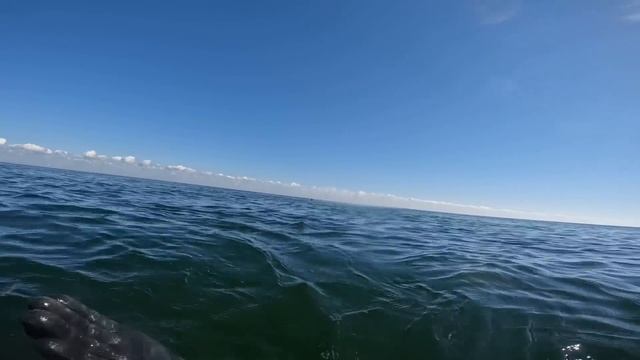 Underwater OXYGEN BOOST Canned Air EXPERIMENT!! (SHARK ATTACK) смотреть онлайн