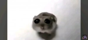 прохожу clubstep