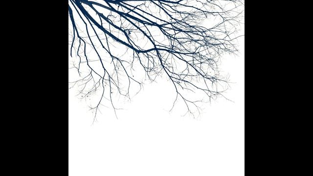 Sunbyonic - The Sleeping Tree