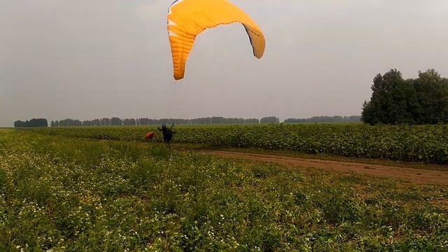 Барнаул, лебёдка. 21.07.2019 смотреть онлайн