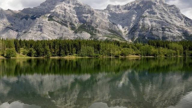 Be Still The Earth. Evergreen